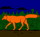 Dibujo Coyote pintado por gregorio