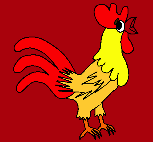 Gallo