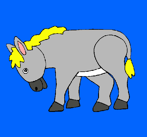 Poni