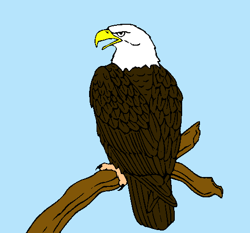 Dibujo Águila en una rama pintado por erika123