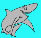 Dibujo Tiburón alegre pintado por daniel34