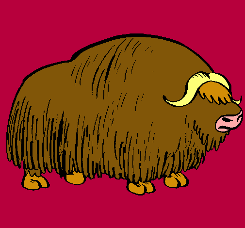 Bisonte