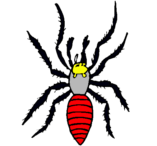 Araña tigre