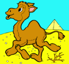 Dibujo Camello pintado por areLIS