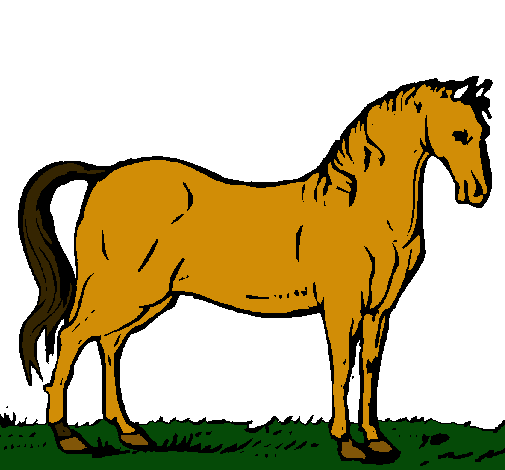 Caballo andaluz