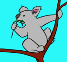Dibujo Koala pintado por wipli