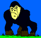 Dibujo Gorila pintado por alexandre