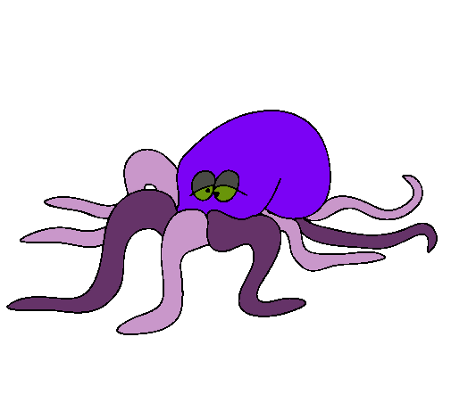 Pulpo