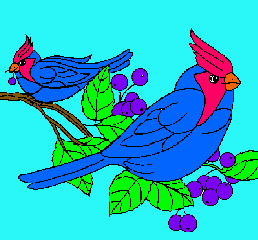 Dibujo Pájaros pintado por hilia-andy