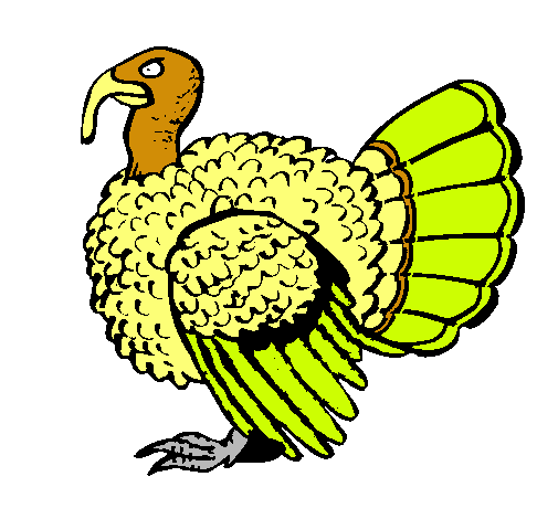 Pavo 