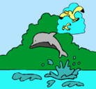 Dibujo Delfín y gaviota pintado por camytha