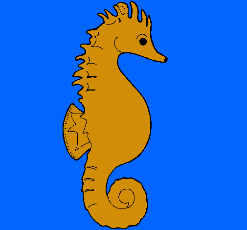 Caballito de mar