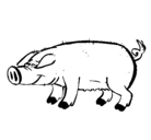 Dibujo Cerdo con pezuñas negras pintado por leila