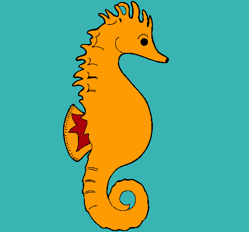 Caballito de mar