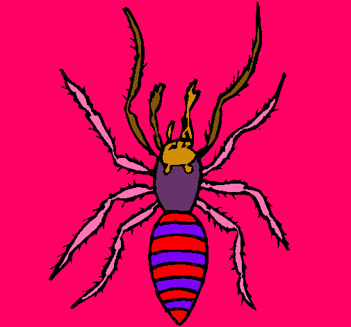 Araña tigre