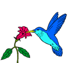 Dibujo Colibrí y una flor pintado por erika123