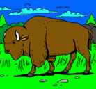 Dibujo Búfalo  pintado por puma