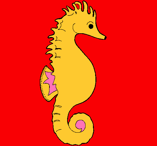 Caballito de mar