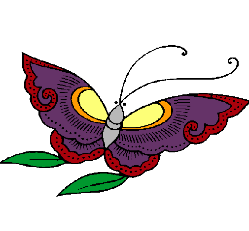 Mariposa