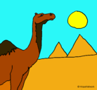 Dibujo Camello pintado por selima