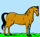 Dibujo Caballo andaluz pintado por caballo