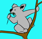 Dibujo Koala pintado por Maxi
