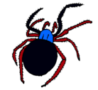 Dibujo Araña venenosa pintado por jhoha