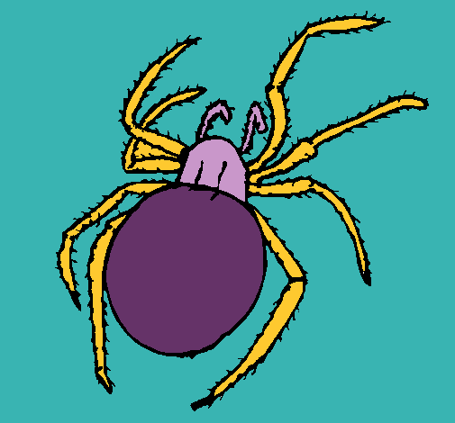 Araña venenosa