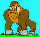 Dibujo Gorila pintado por migueluno