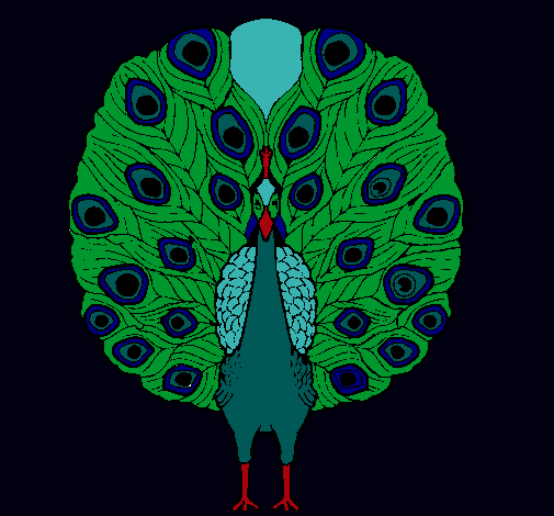 Pavo real