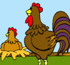 Dibujo Gallo y gallina pintado por osornio