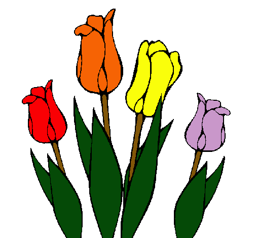 Tulipanes