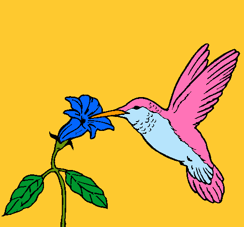 Colibrí y una flor