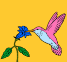 Dibujo Colibrí y una flor pintado por pinkigrama