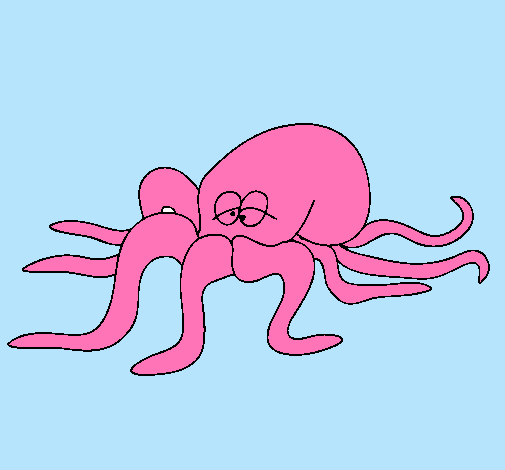 Pulpo