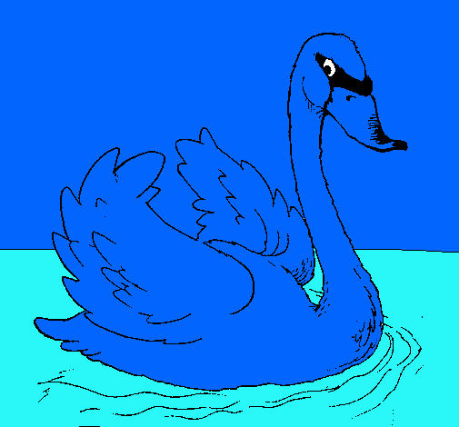 Cisne en el agua