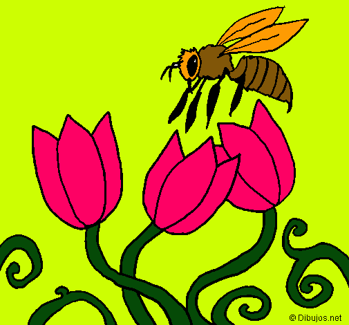 Abeja