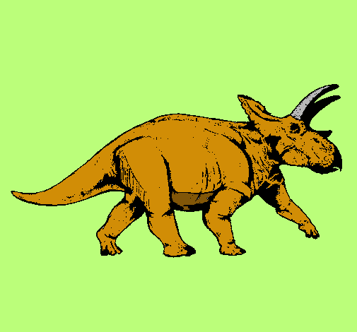 Triceratops