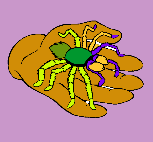 Tarántula