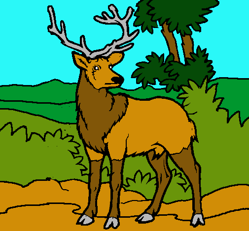 Dibujo Ciervo adulto pintado por erika123
