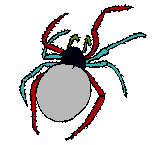 Araña venenosa