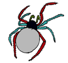 Dibujo Araña venenosa pintado por antoniomi