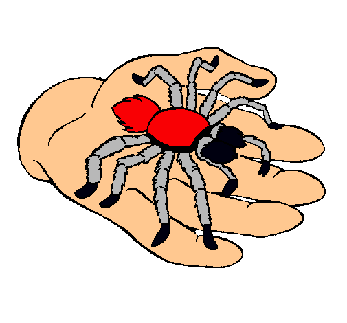 Tarántula