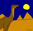 Dibujo Camello pintado por criistiina