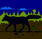 Dibujo Coyote pintado por yyytuej