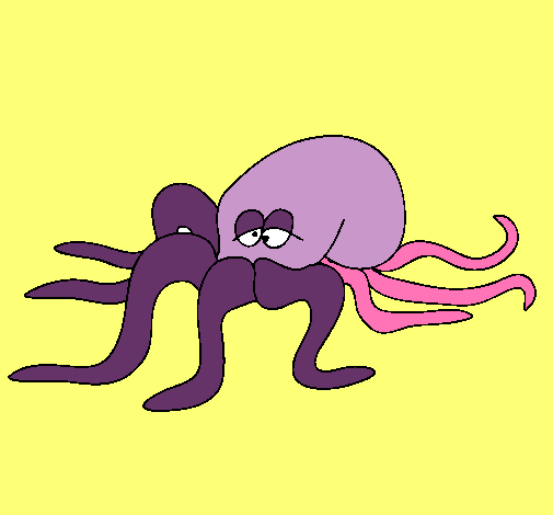 Pulpo