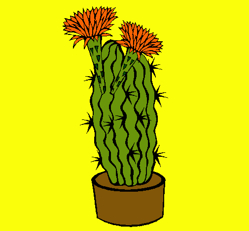 Cactus con flores