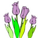 Dibujo Tulipanes pintado por frede