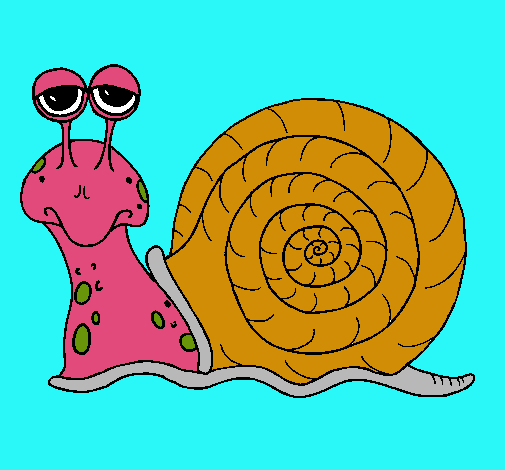 Caracol