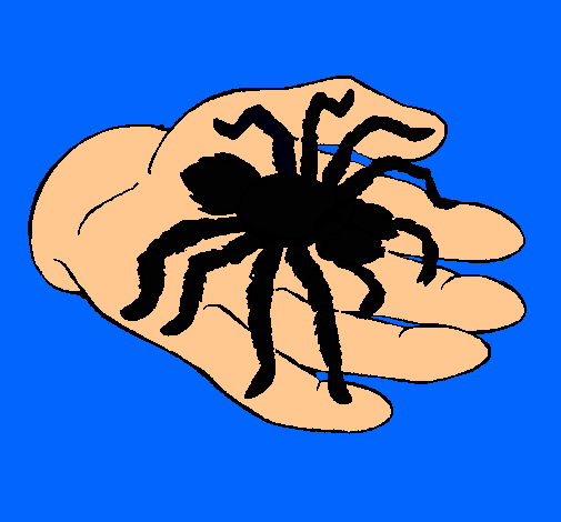 Tarántula